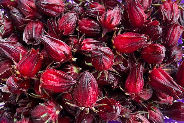 Top View Of Dried Hibiscus Sabdariffa Or Roselle Fruits In The