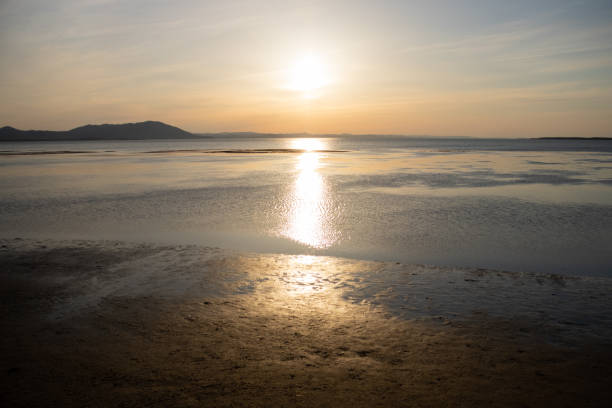 istock Beautiful lake dusk in spring 1468423747