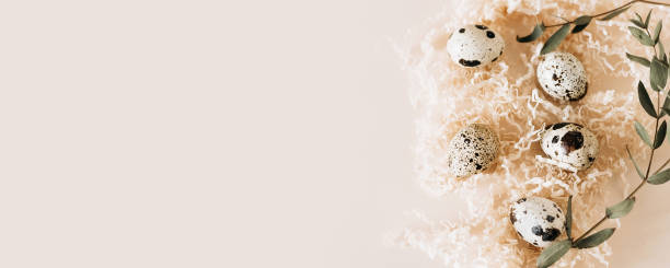 istock Quail eggs in nest on pastel background. Banner. Copy space. 1468424446