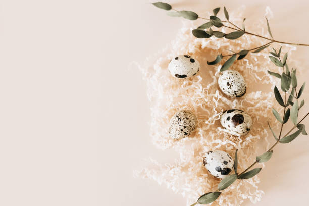 istock Quail eggs in nest on pastel background. Copy space. 1468424476