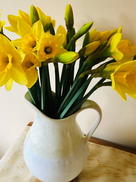 istock Spring Saint David’s Day in Wales 1468426636