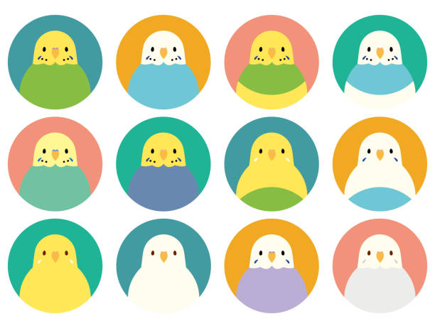 Set of budgie icons in various colorings Set of budgie icons in various colorings blue budgies cartoons stock illustrations