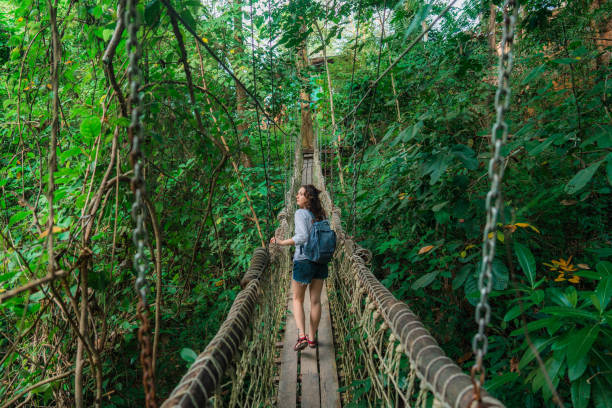 mujer caminando sobre un puente de cuerda en exuberantes selvas - lugar famoso local fotografías e imágenes de stock