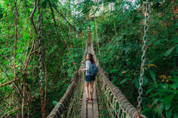 울창한 정글에서 밧줄 다리를 걷는 여자 - people adventure vacations tropical climate 뉴스 사진 이미지