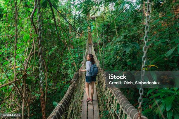 Woman Walking On Rope Bridge In Lush Jungles A Stock Photo - Download Image Now - Rainforest, Travel, Safari