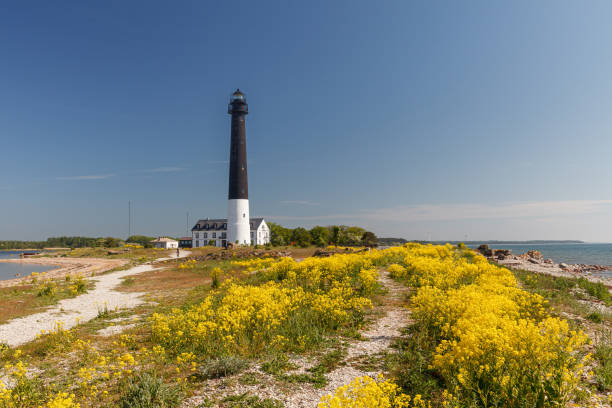 High lighthouse Sorve is the most recognizable sight on Saaremaa island in Estonia stock photo