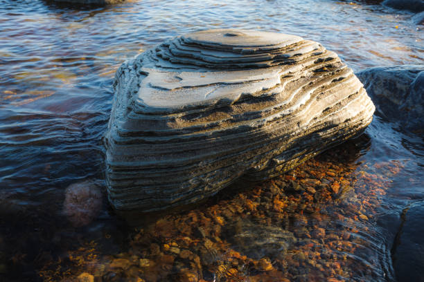 Stones along rosky sea shore with algae in the water.