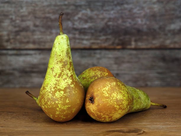 istock three natural ripe conference pears on rustic table against old wooden background 1468440670