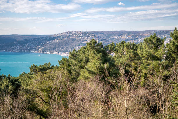 istock Beautiful city and Bosphorus view from tree area Istanbul, Turkey 1468441375