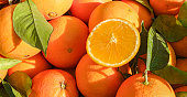 Close-up of organic oranges at farmers market in South Europe