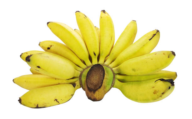 istock Bunch of bananas isolated on a white background with clipping path. 1468447460