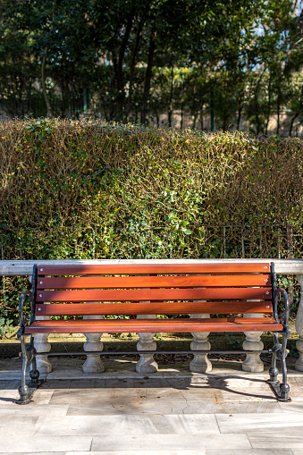 Empty wooden bench in a park with grass and trees and a pedestrian walkway in front.