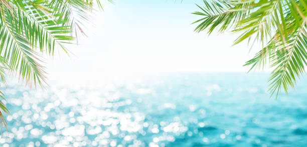 istock Defocused blue sea landscape background 1468452901