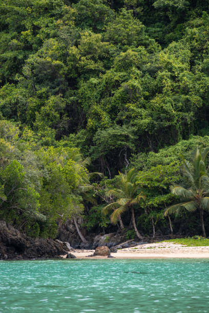 istock Paradise beach in the Caribbean 1468458779