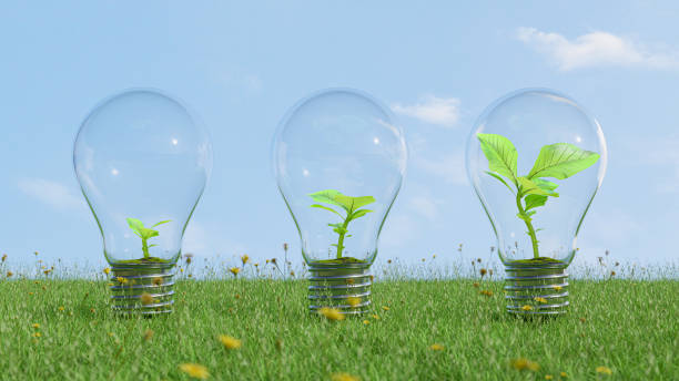 istock Tree growing in light bulb different growth and different step. On grass and clear sky. 1468465937