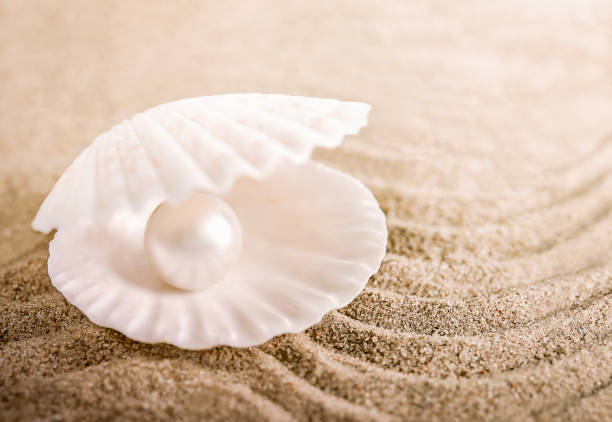istock seashell with pearls on a sandy beach with a place for text 1468466952
