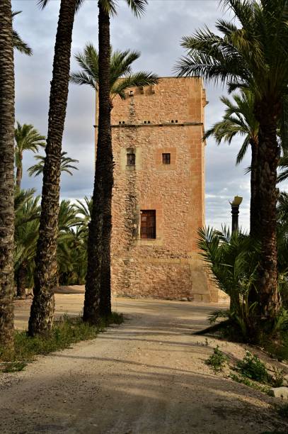 istock Landmarks of Spain - Elche 1468471151