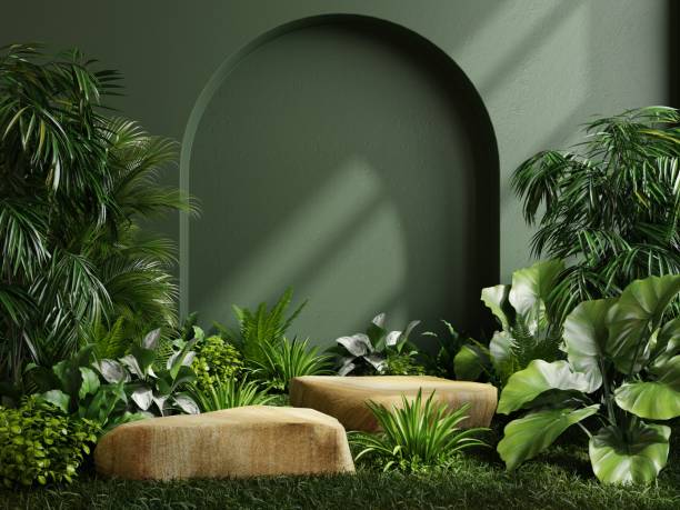istock Two podium stone in tropical forest for product presentation and green wall. 1468471306