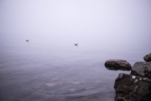 Some days in Winter can be very moody and lazy with a certain feeling of tranquility