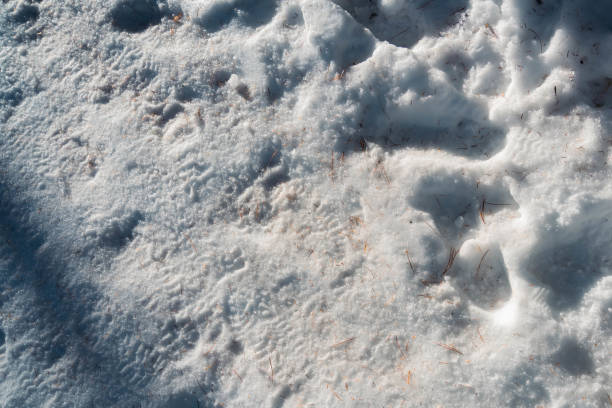 istock Texture of ground covered in snow. 1468485452
