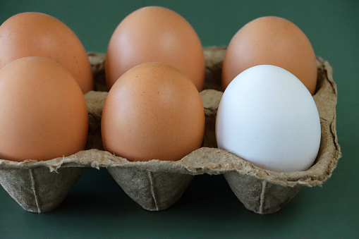 Stock photo showing close-up view of batch of six chicken eggs in disposable cardboard egg tray. Odd one out concept with one white chicken egg surrounded by five brown eggs.
