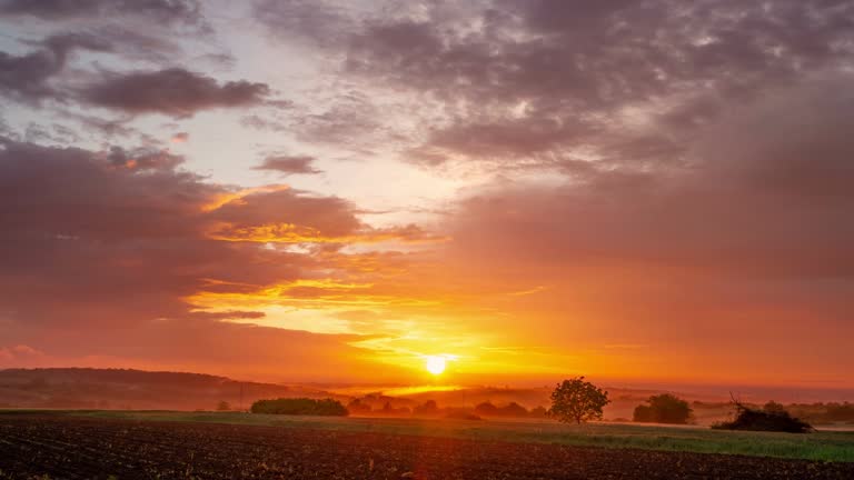 Amazing sunrise in the agricultural field