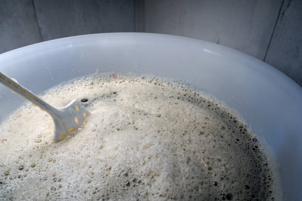 istock Beer yeast and stirrer in round fermenter 1468498944