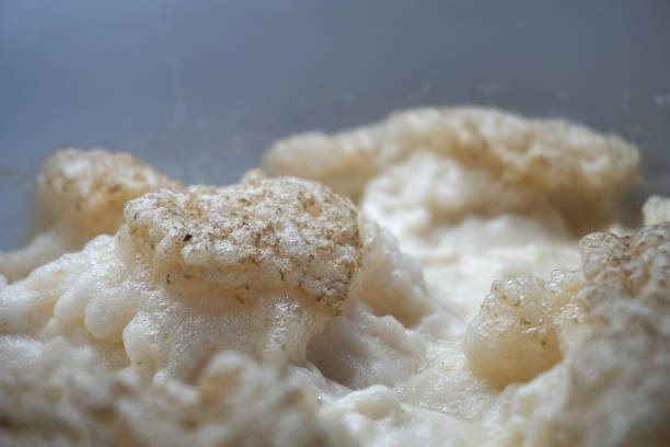 Beer yeast foam - alcohol fermentation process stock photo
