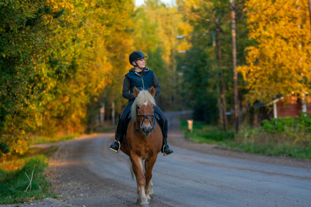 istock Woman horseback riding in autumn 1468501042