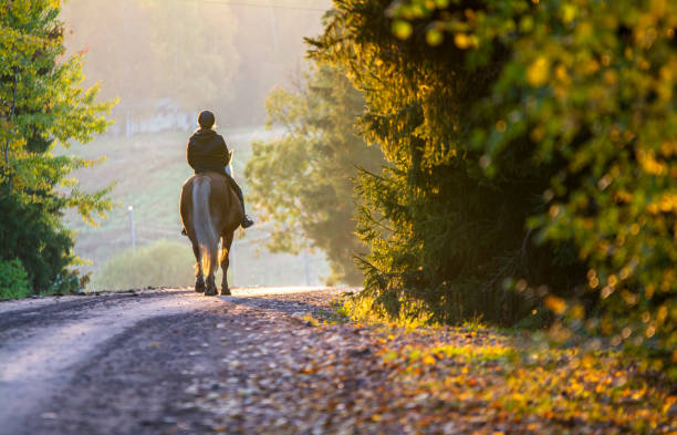 istock Woman horseback riding in autumn 1468501057