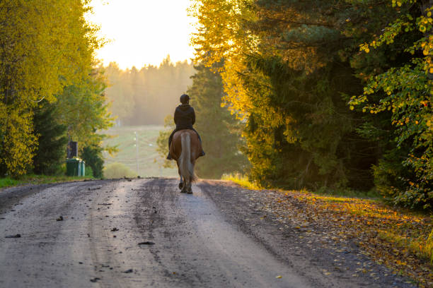 istock Woman horseback riding in autumn 1468501072