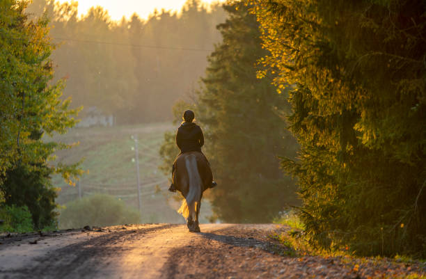 istock Woman horseback riding in autumn 1468501082