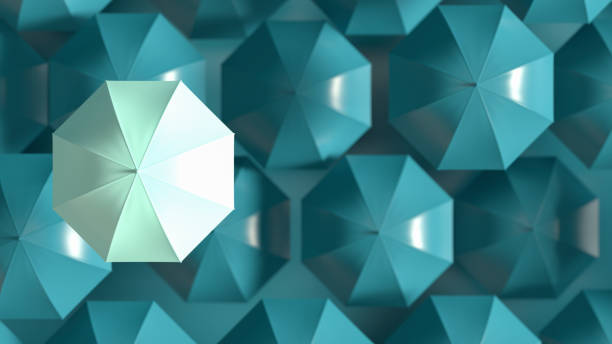 Umbrella, Standing out from the Crowd, Leadership