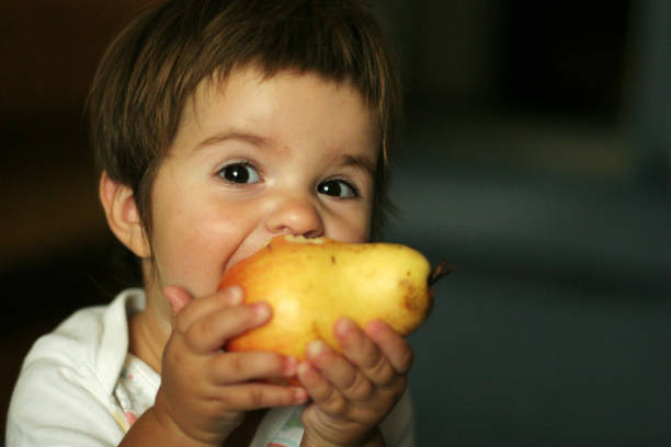istock Little girl with a big ripe pear 1468523862