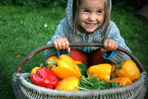 Smiling little girl with a basket of colorful bell peppers