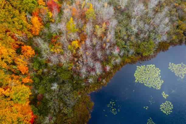 istock Fall color and pond in Maine from above 1468538028