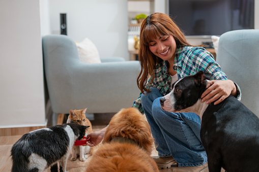 Latina woman between the ages of 25-35 is feeding her pets at home