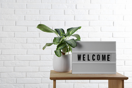 Lightbox with word Welcome near houseplant on wooden table, space for text