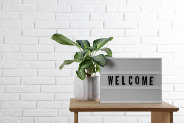 Lightbox with word Welcome near houseplant on wooden table, space for text stock photo