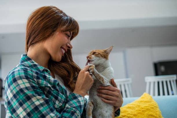istock Woman is feeding her cat 1468543144