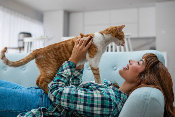 istock Woman spending time with her cat at home 1468543468
