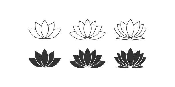 ilustrações, clipart, desenhos animados e ícones de conjunto de ícones do lotus. vetor da flor da água - lotus position