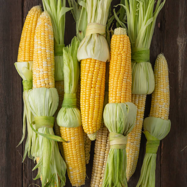 tas de maïs cru frais sur l’épi sur une table en bois - corn on the cob corn crop food and drink healthy eating photos et images de collection
