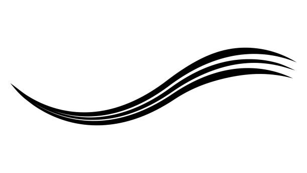 ilustraciones, imágenes clip art, dibujos animados e iconos de stock de línea swash swish, caligrafía rizada debajo, swoosh stroke subrayado - single line in a row ink pen