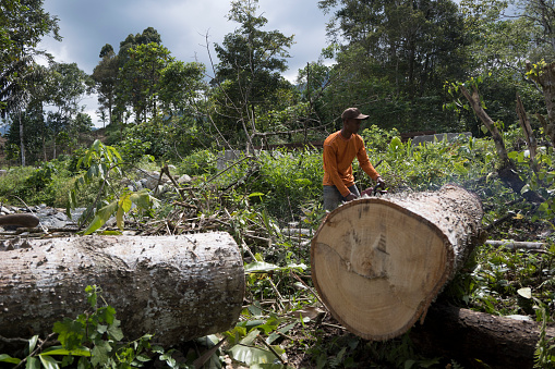 a young man splits wood that has been cut into boards with a chainsaw machine in the forest