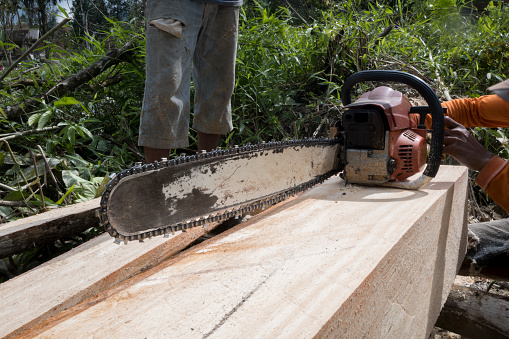 Man setting up chainsaw before chopping wood