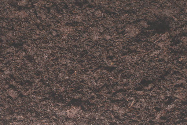 istock Black land for plant background. 1468558221