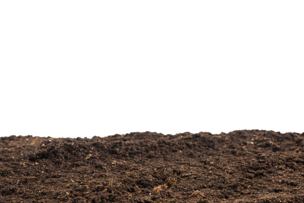 istock Soil for plant isolated on white background. 1468559006