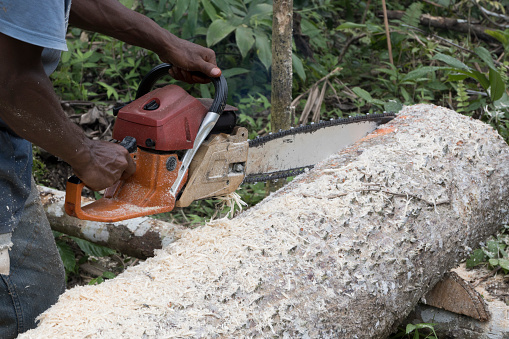 a young man splits wood that has been cut into boards with a chainsaw machine in the forest