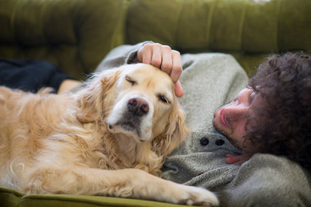 istock Young Man Petting his Senior Dog 1468560656